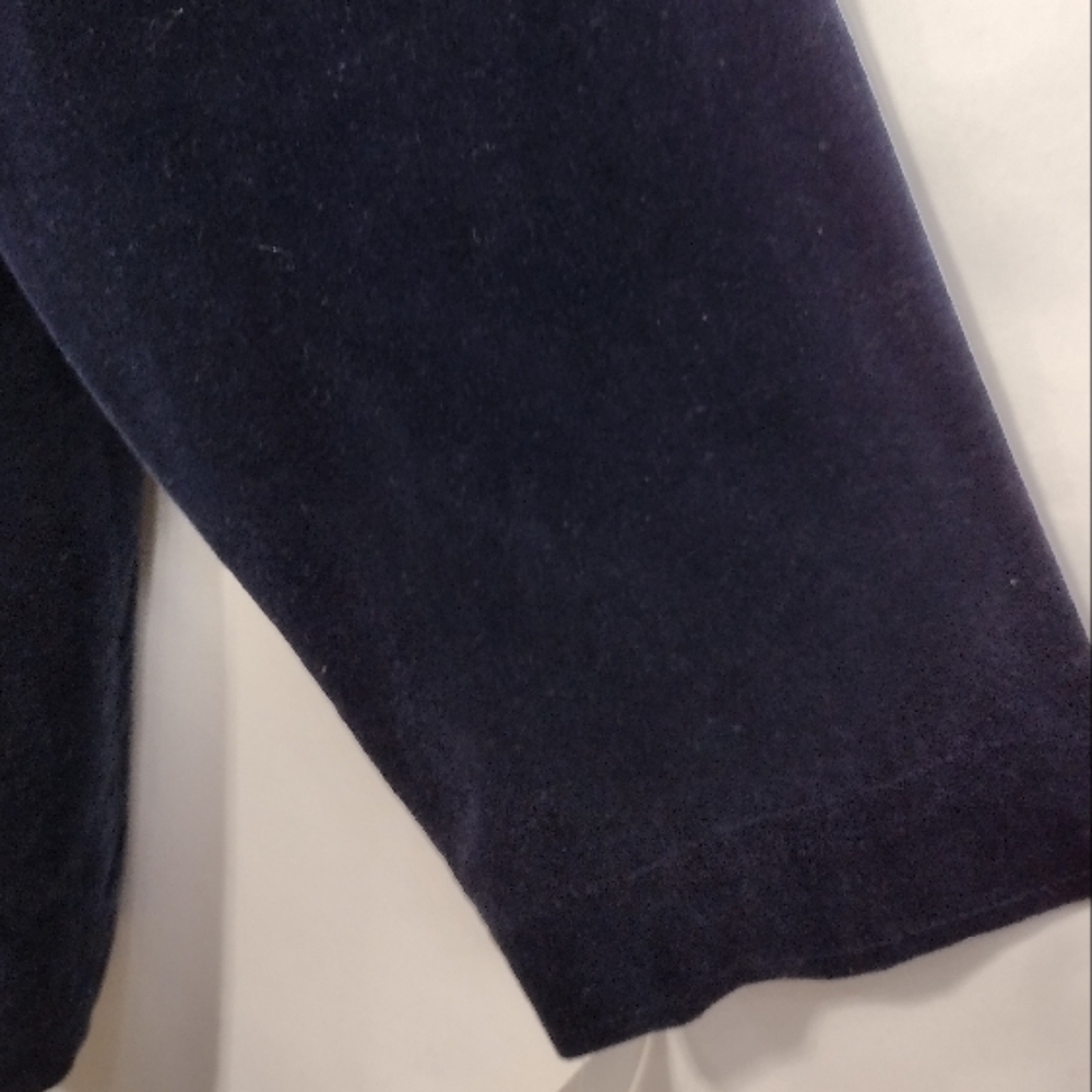 NWT Liz Claiborne Ribbon Candy Velour Double Breasted Blazer Jacket Womens 2X - Picture 3 of 9